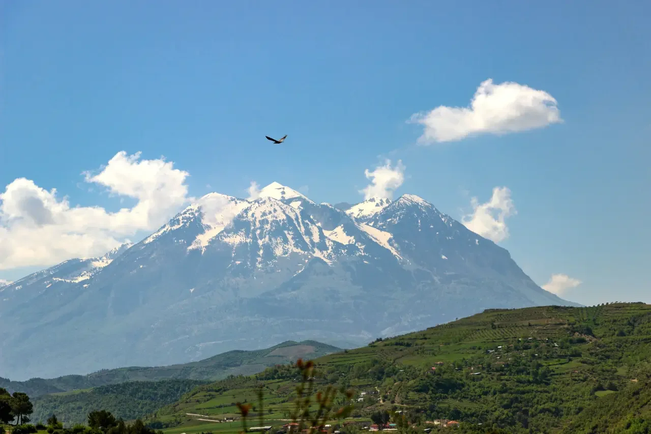 Poliçan
