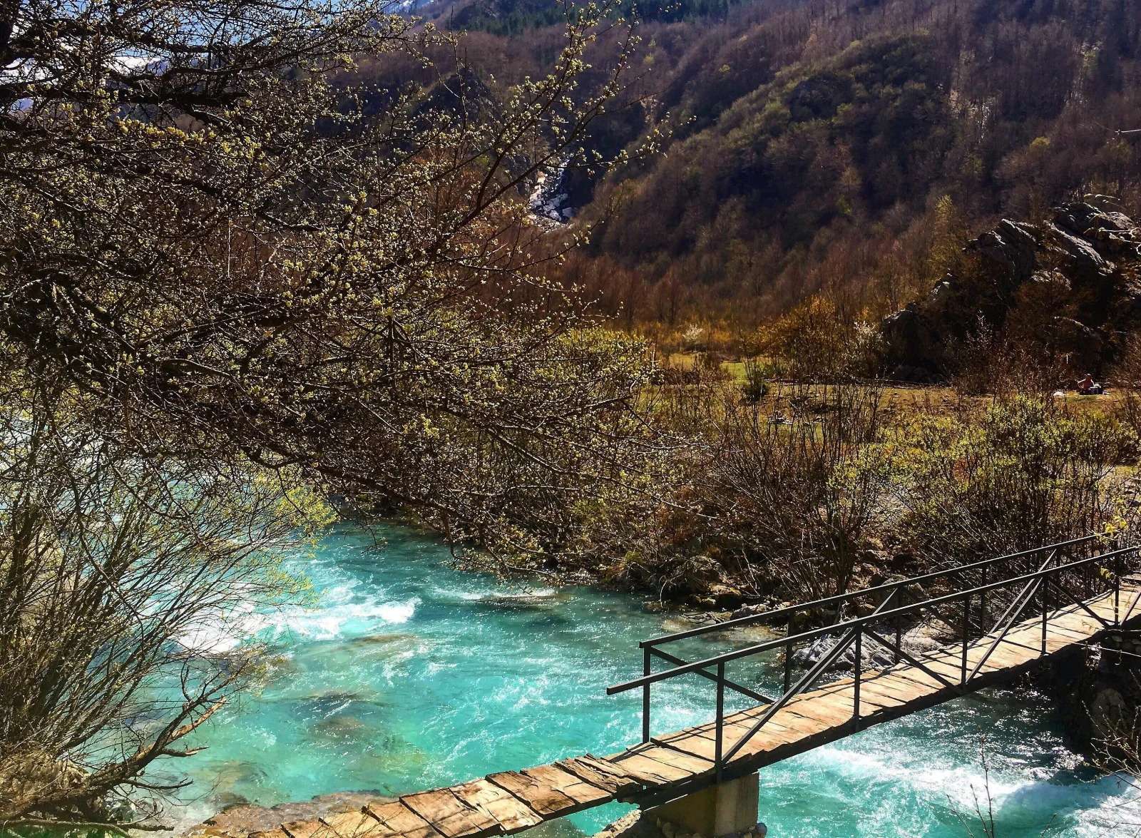 Kukës