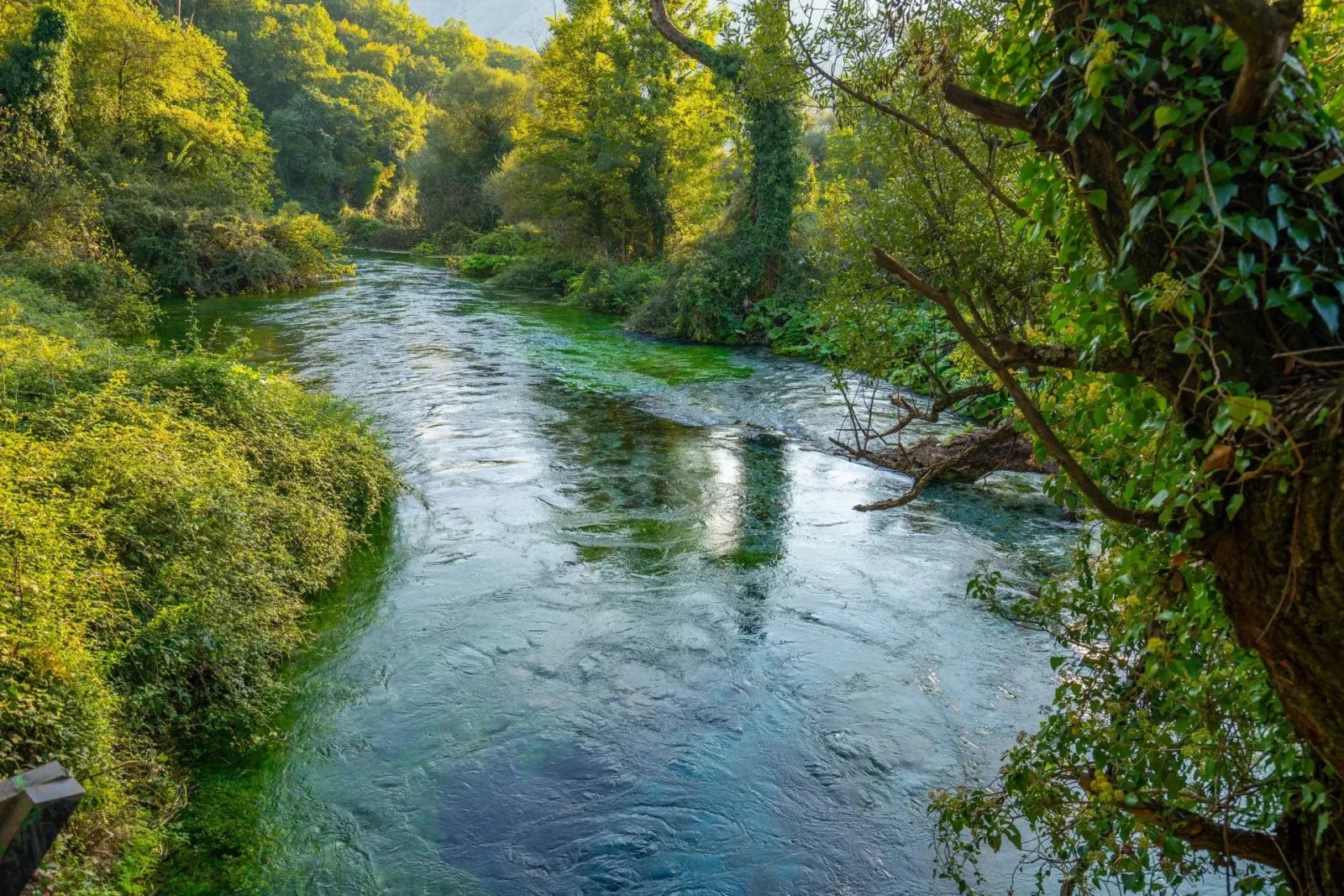 Delvinë