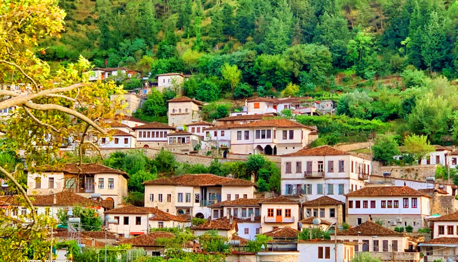 Kuçovë