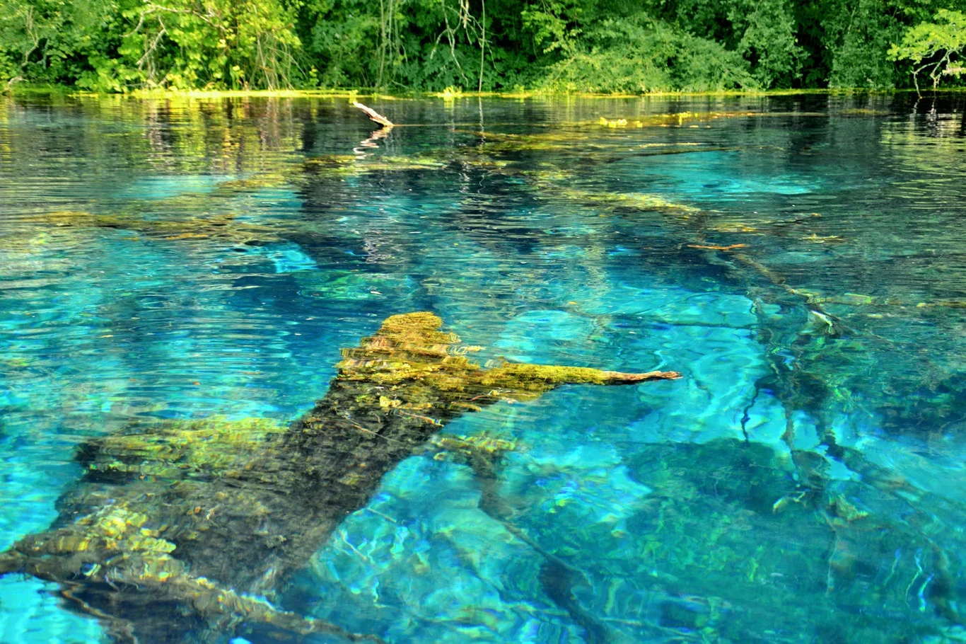 Blue Eye Spring (Syri i Kaltër)